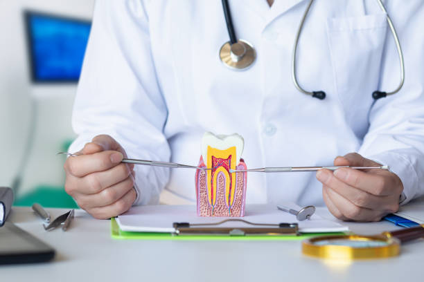 Best Emergency Treatment for Toothache in Lake Bryan, TX